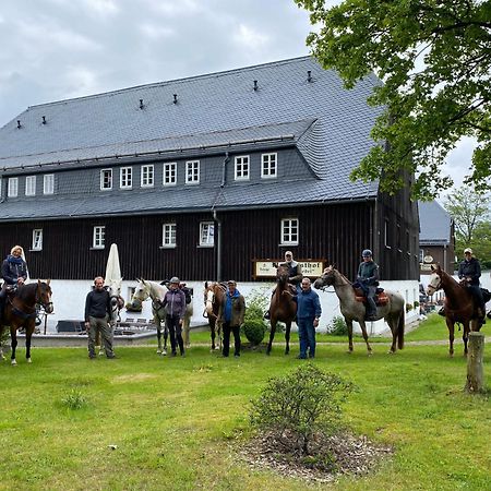 Waldgasthof Bad Einsiedel Seiffen Eksteriør billede