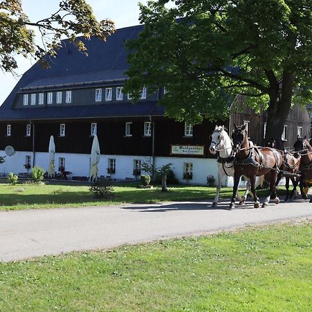 Waldgasthof Bad Einsiedel Seiffen Eksteriør billede