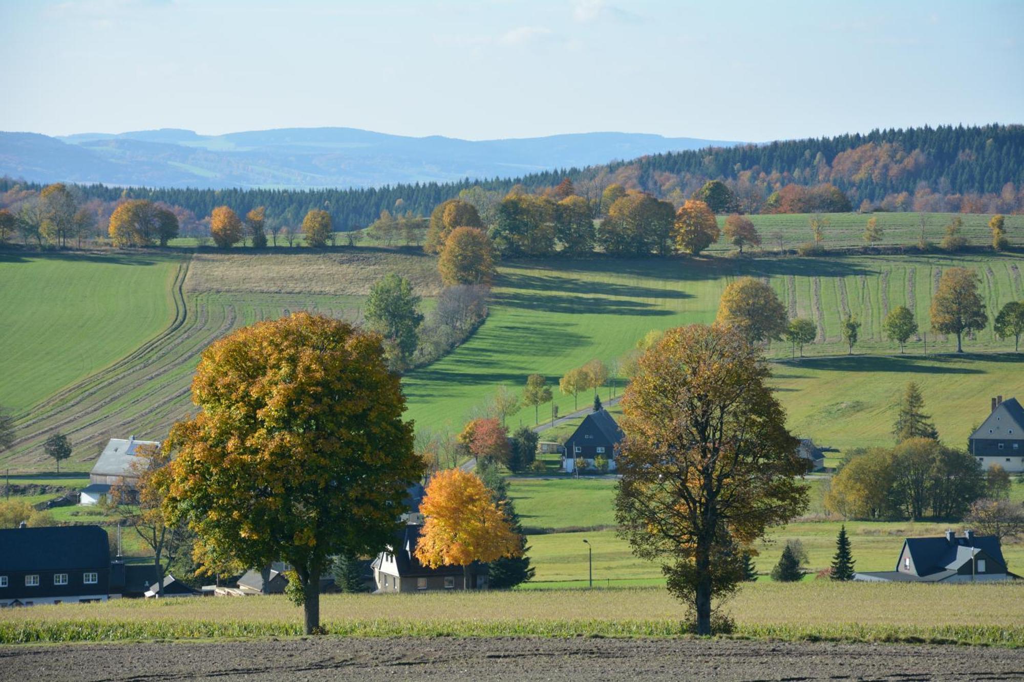 Waldgasthof Bad Einsiedel Seiffen Eksteriør billede